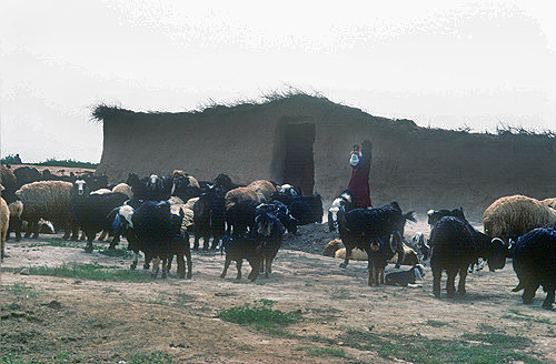 Village in northern Iraq